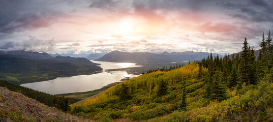 Panoramic View of Colorful meadow fields on top of Nares Mountain during fall season. Located in Carcross, near Whitehorse, Yukon, Canada. Nature Background Panorama - obrazy, fototapety, plakaty