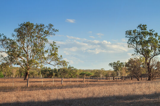 Australian Outback With Fence