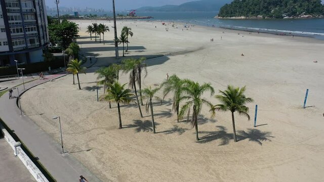 Aerial view of palm trees in the beachfront ,Santos, Sao Paulo, Brazil. Santos beach scene. Beachfront view. Palm trees landscape. Beach scene of pam trees in Santos. Beachfront scene in a summer day.