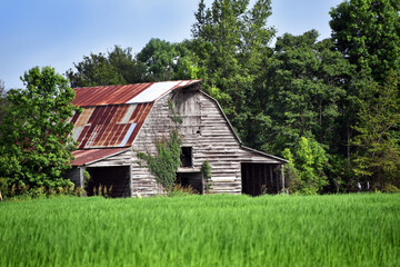 Fototapeta na wymiar Big Barn Still Stands in Field of Green