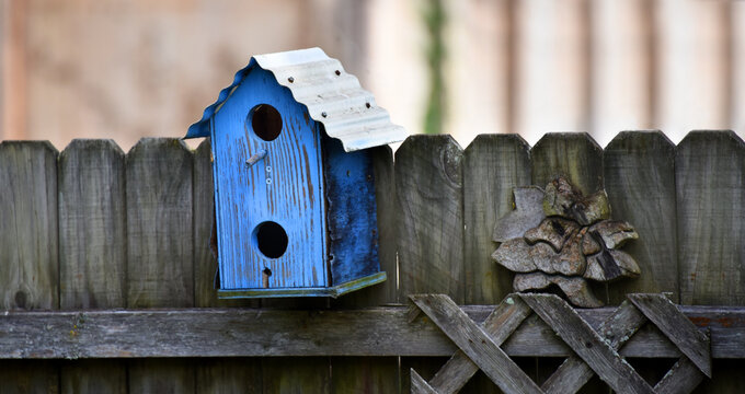 Blue Birdhouse on Rustic Fence