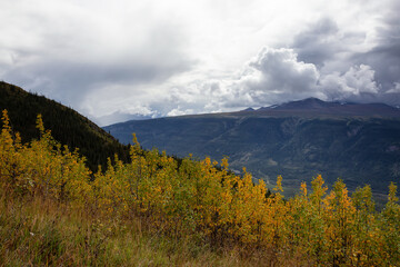 Colorful meadow fields on top of Nares Mountain during fall season. Located in Carcross, near Whitehorse, Yukon, Canada.