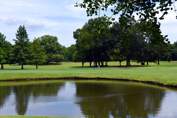 Golfer Hitting Ball on Course in Memphis Tennessee