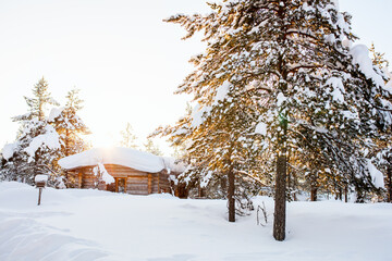 Winter landscape