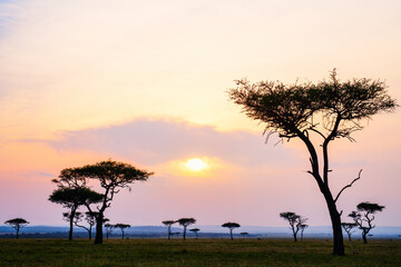 Masai Mara at sunset