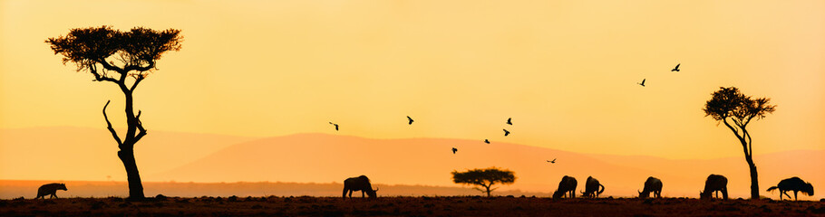 African sunrise panorama