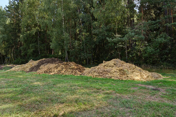 dunghill at the edge of a forest