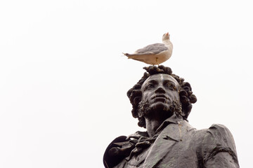 Seagull sits on the head of the monument to Alexander Pushkin on the square in front of the Russian...