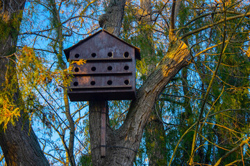 bird house, nesting box on tree