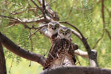 Who's Looking at You