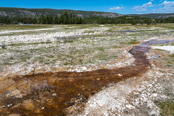 Creek, Upper Geyser Basin, Yellowstone National Park