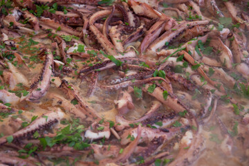 tentacles  calamari octopus in Bistrita,Romania 2020