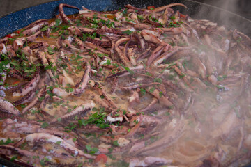 tentacles  calamari octopus in Bistrita,Romania 2020