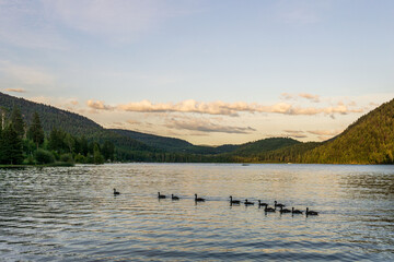 Paul Lake Summer time with green mountains and white clouds british columbia canada.