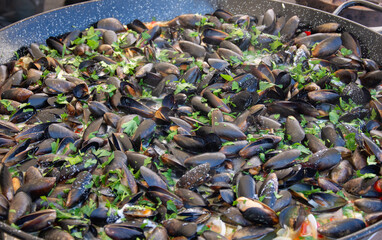 fresh shells in wine  ,