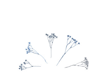 かすみ草の手書き水彩素材 Wall Mural Wallpaper Murals 佑季 菊地