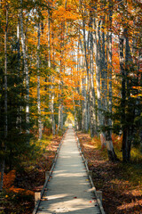 Autumn travel destination landscape with beautiful colors
