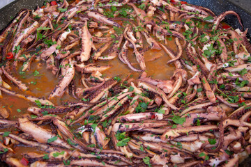 tentacles  calamari octopus in Bistrita,Romania 2020