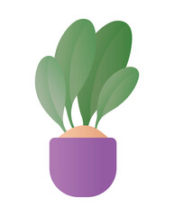 Isolated plant inside pot vector design