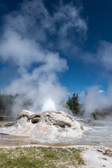 Grotto Geyser, Upper Geyser Basin, Yellowstone National Park