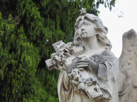 Scene in a cemetery: close-up of a stone statue of an angel with its hands crossed, holding a cross, looking at the sky. It has a star in his hair.