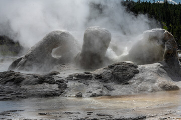 Grotto Geyser, Upper Geyser Basin, Yellowstone National Park
