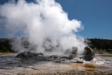 Grotto Geyser, Upper Geyser Basin, Yellowstone National Park