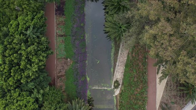 Vista a&eacute;rea cenital para observar el proyecto de regeneraci&oacute;n del Canal Nacional a la altura de la colonia Campestre Churubusco en la Ciudad de M&eacute;xico