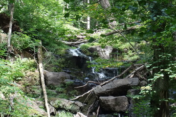 ナイオロップの滝の夏の風景