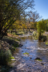 Río natural con piedras y árboles