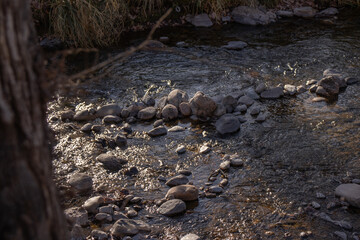 Río natural con piedras y árboles