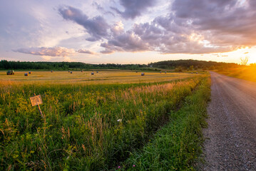 Vermont field at sunset