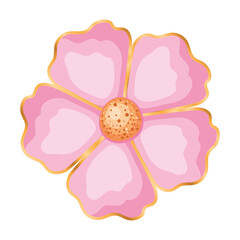 Isolated pink flower vector design