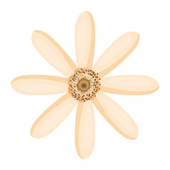 Isolated white flower vector design