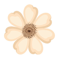 Isolated white flower vector design