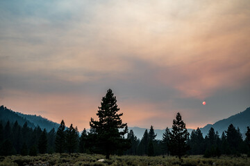 sun glowing orange ball in sky obscured by smoke from forest fire with smoke over distant hills in California pine forest