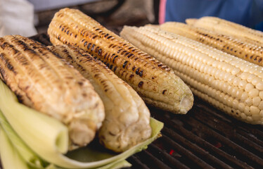 Elotes a la parrilla comida típica salvadoreña.  comida callejera de El Salvador.