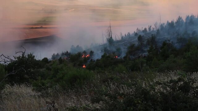 Incendio sulle colline della murgia pugliese