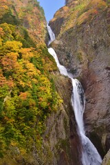 Obraz premium 盛秋の称名滝 立山連峰