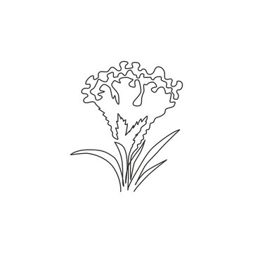 Single continuous line drawing beauty brain celosia for home wall art decor poster print. Printable decorative cockscomb flower for wedding invitation card. One line draw design vector illustration