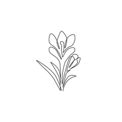 Single continuous line drawing of beauty fresh croci for home wall art decor poster print. Printable decorative crocus flower concept for card ornament. Modern one line draw design vector illustration