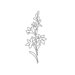 Fototapeta na wymiar One continuous line drawing beauty fresh polianthes tuberosa for home decor art wall poster print. Decorative tuberose flower concept for invitation card. Single line draw design vector illustration