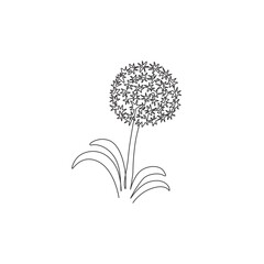 Single continuous line drawing beauty fresh allium giganteum for home decor wall art poster print. Decorative globemaster flower for floral card frame. Modern one line draw design vector illustration - obrazy, fototapety, plakaty