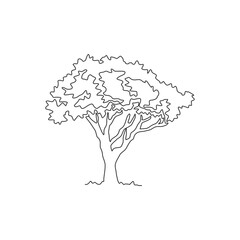 Single continuous line drawing beautiful marula tree for home decor wall art poster print. Decorative sclerocarya birrea plant for national park logo. Modern one line draw design vector illustration