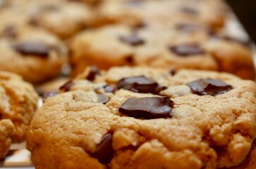 Chocolate Chip Cookie Close Up
