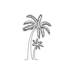 Single one line drawing of coconut tree. Decorative cocos nucifera, beach palm tree family concept for greeting hello summer post card. Modern continuous line draw design vector graphic illustration