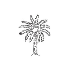 Single continuous line drawing of beauty and big phoenix dactylifera tree. Decorative date palm plant concept for home decor wall art poster print. Modern one line draw design vector illustration