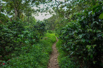 Obraz premium Dirt roads in the middle of the mountain