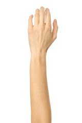 Obraz premium Raised hand voting or reaching. Woman hand gesturing isolated on white