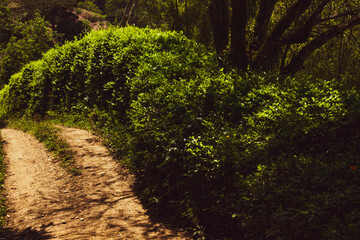 Dirt roads in the middle of the mountain